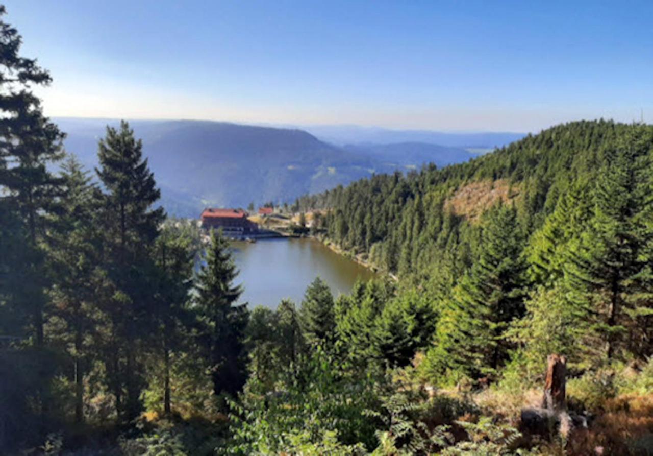 Adlerhorst Apartment Baiersbronn Bagian luar foto